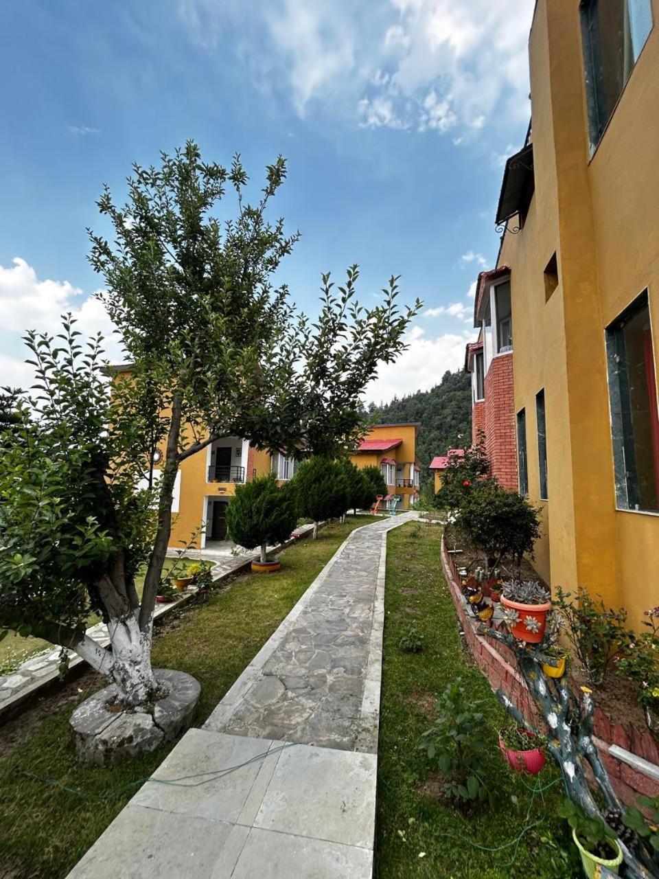 Mist N Meadows Resort Rājgarh Exteriér fotografie